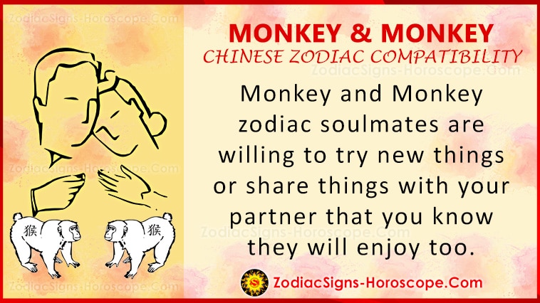 monkey-and-monkey-compatibility-zodiac-traits-and-love-compatibility