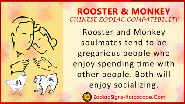 rooster-and-monkey-compatibility-zodiac-traits-and-love-compatibility