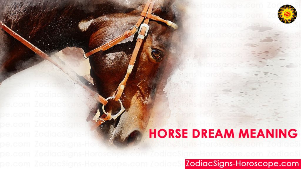 horse-dream-meaning-interpretation-and-dream-symbolism-zsh