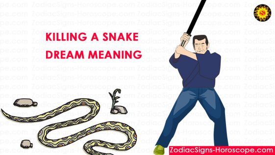 Killing Snake In Dream Meaning