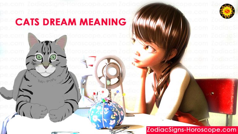 cat-dreams-meaning-dream-interpretation-and-symbolism-cat-dream