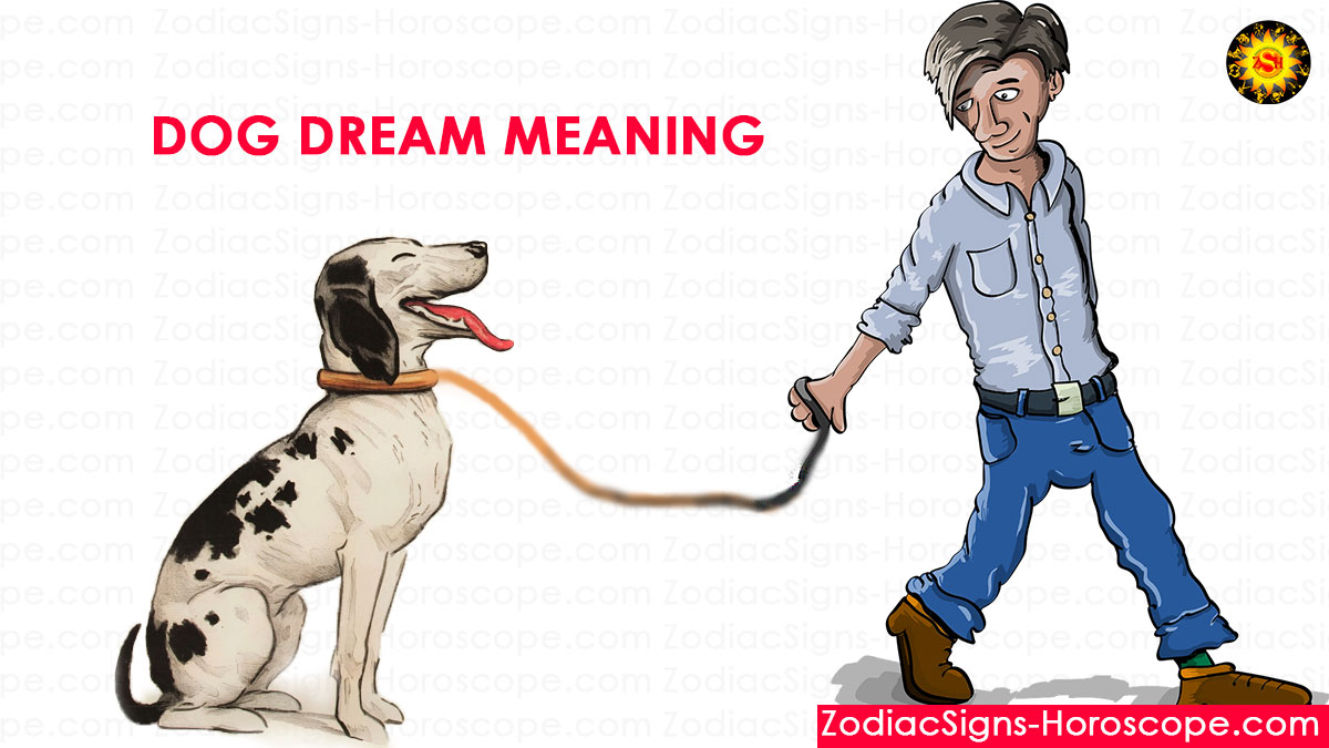 Dog Dream Meaning, Interpretation and Symbolism | Dream of Dogs