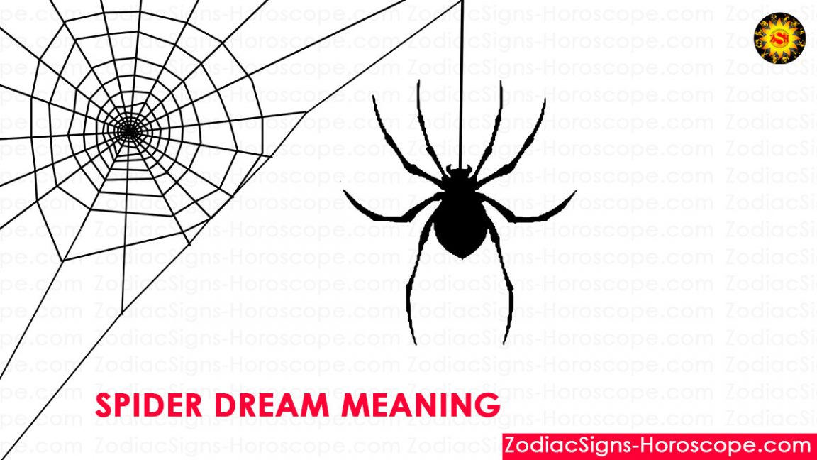 download spider dream meaning for free