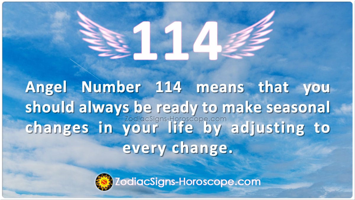 Angel Number 114 Indicates Adjust To Every Change 114 Meaning