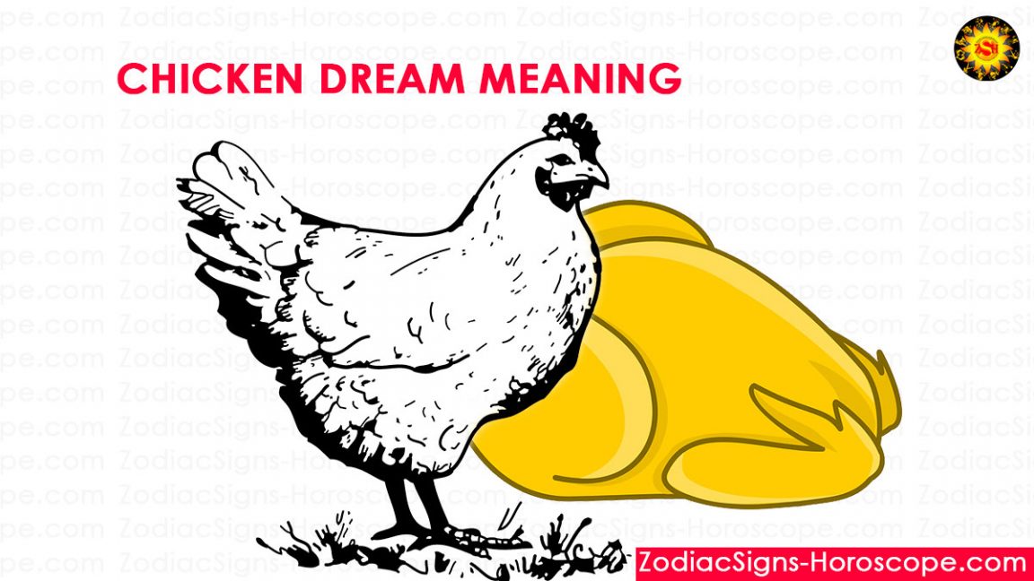 chicken-dream-meaning-interpretation-and-dream-symbolism