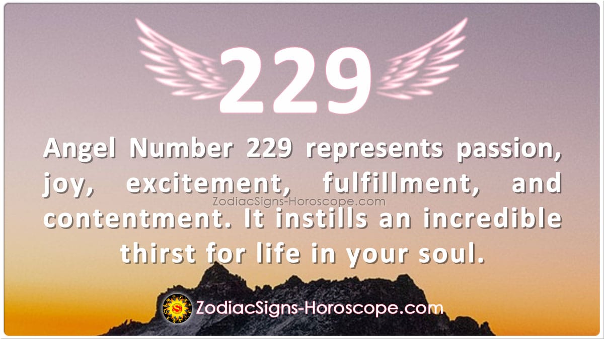 Angel Number 229 Meaning Great Passion Zodiacsigns Horoscope Com