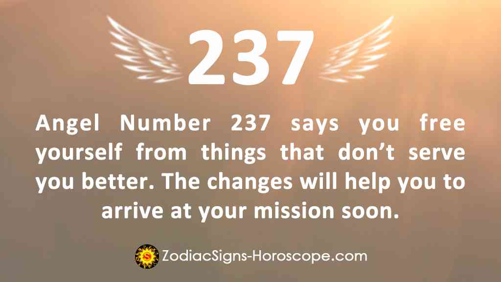 meaning of the number 237