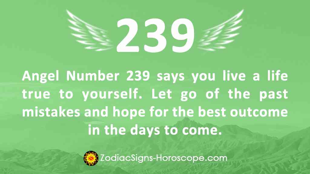 meaning of angel number 239