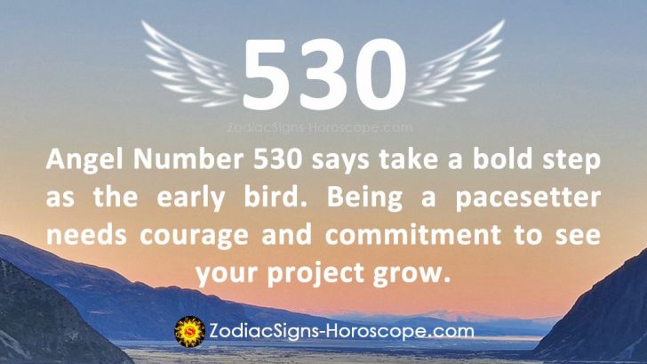 angel-number-530-meaning-the-early-bird-zodiacsigns-horoscope