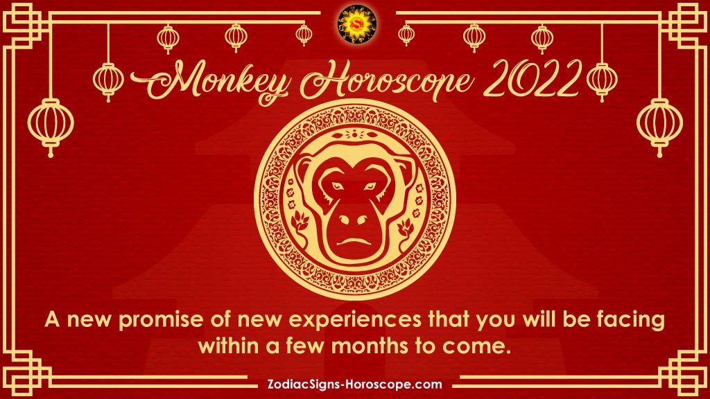 Year of the tiger 2022 predictions for monkey