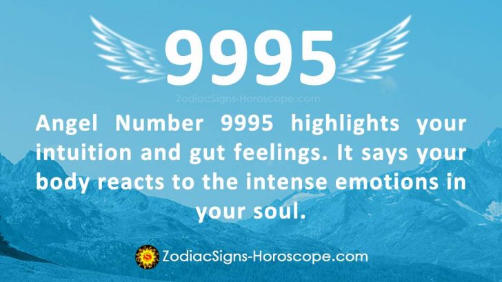 Angel Number 9955 is Your Ultimate Guide and Protector | 9955 Meaning