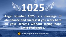 Angel Number 1025 Meaning: Hard Work | 1025 Numerology