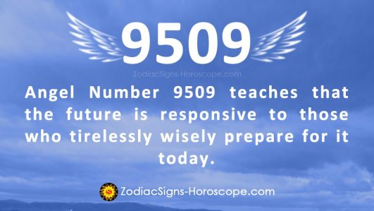 angel-number-9509-meaning-better-future-9509-numerology