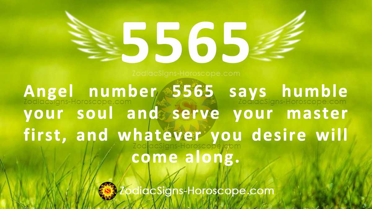 Life Lessons Of Seeing Angel Number 5565 Godly Life 5565 Twin Flame   5565 Angel Number 