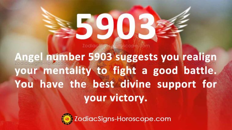 significance-of-angel-number-5903-meaning-find-your-space