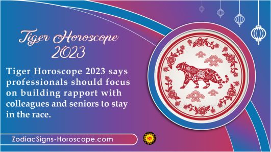 Tiger Horoscope 2023 Predictions: Good Returns from Investments