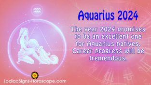 Aquarius Horoscope 2024: Career, Finance, Health Predictions