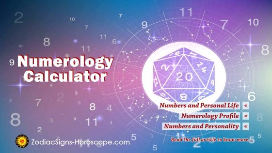 Understanding The Numerology Calculator And The Personal Profile ...