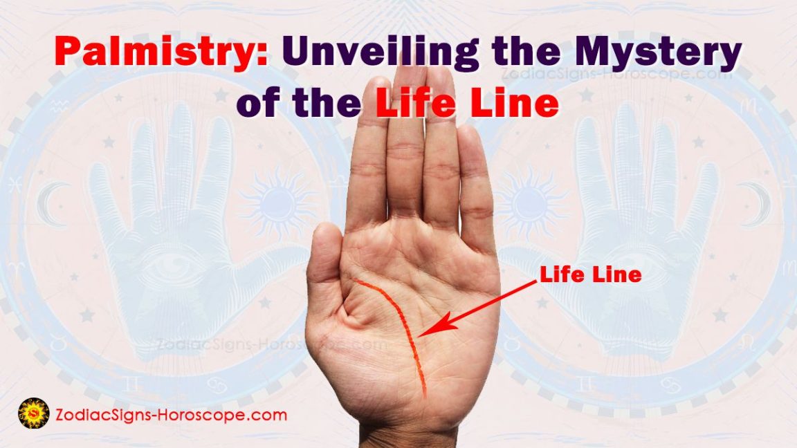 Educational component of palmistry