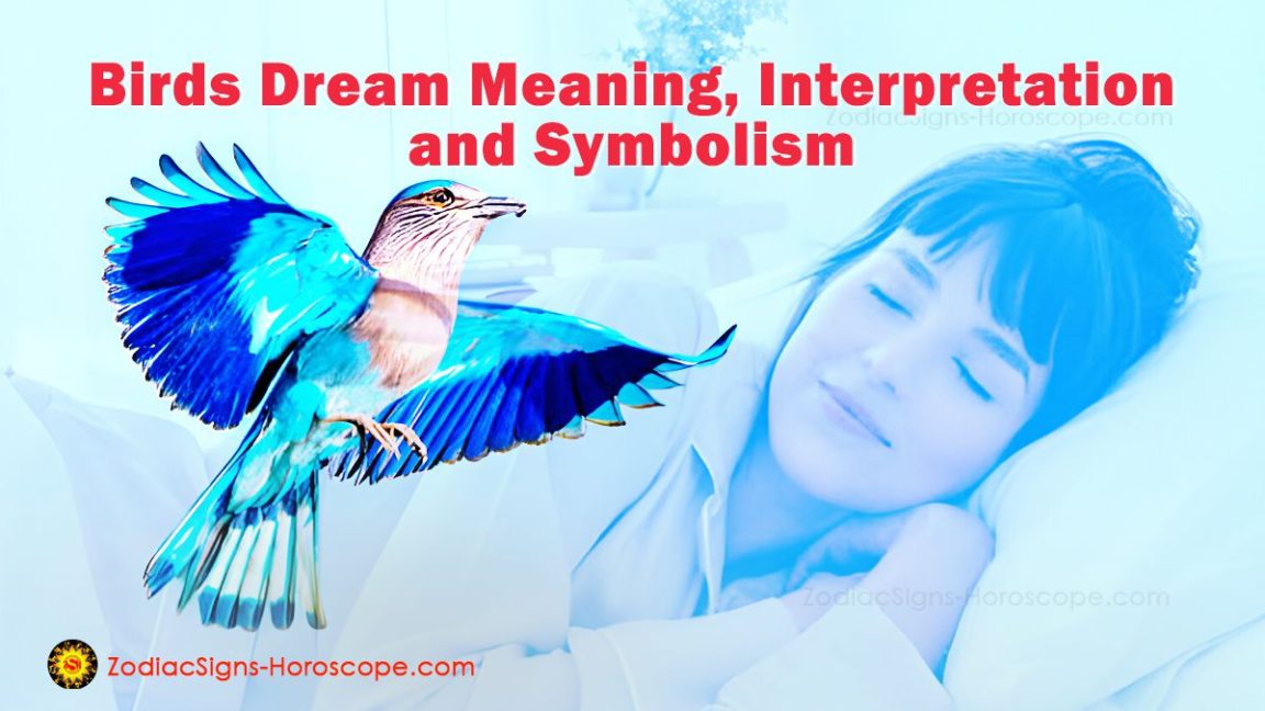 Birds Dream Meaning, Interpretation, and Symbolism - ZodiacSigns ...