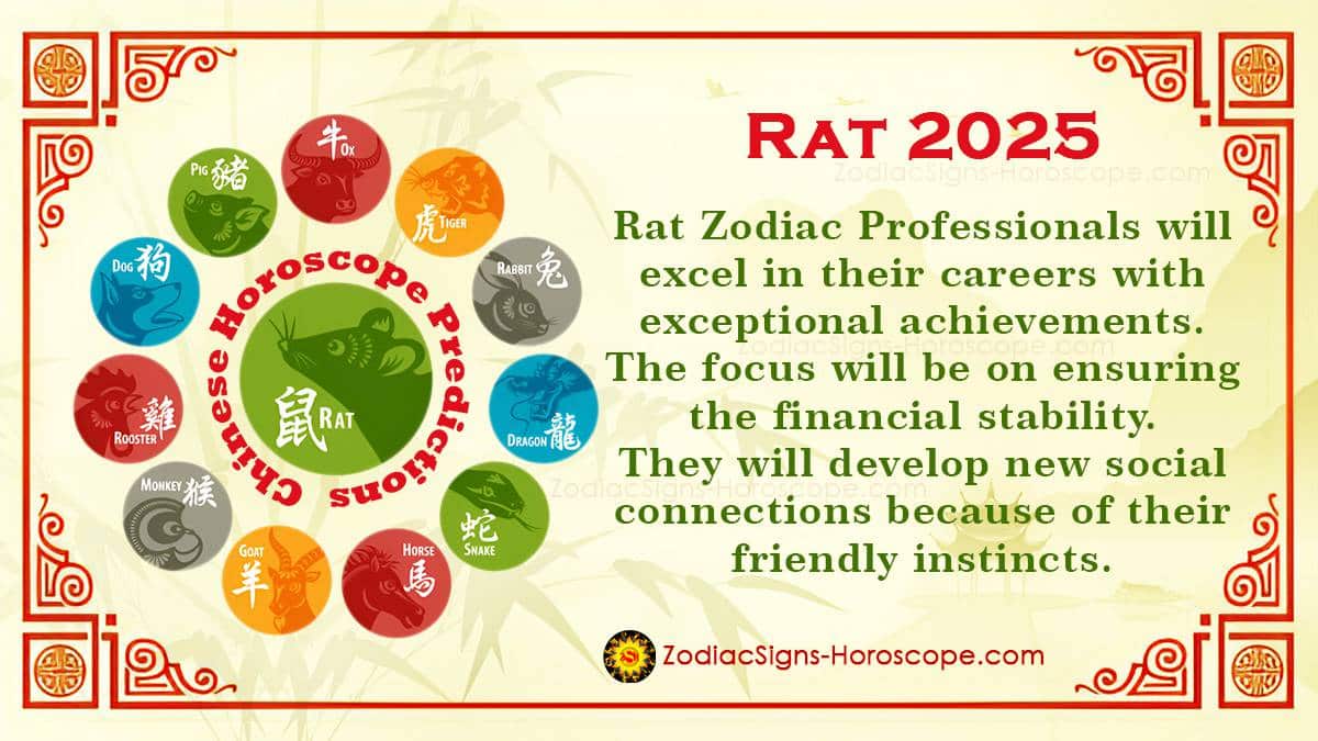 Rat Horoscope 2025 Yearly Predictions Practical and Optimistic